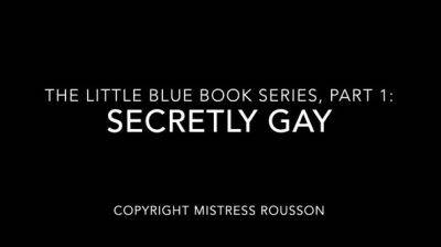 Ruby Rousson - Secretly Gay - drtuber.com