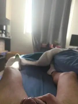 View the HD clip titled Gay sex chat with ZOMBRA420