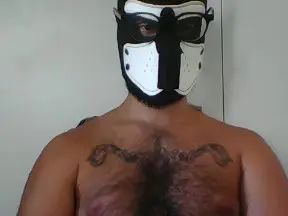 Stream this uncensored clip of Gay sex chat with Zeuspuppy