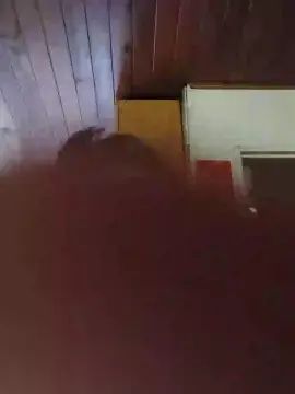View uncensored clip of Gay sex chat with nestor277