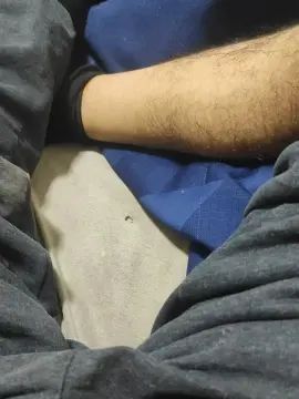 Stream the HD movie titled Gay sex chat with istanbulda00