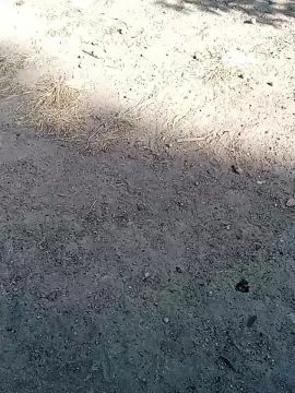 Stream the uncut video named Gay sex chat with Boyperverpiss
