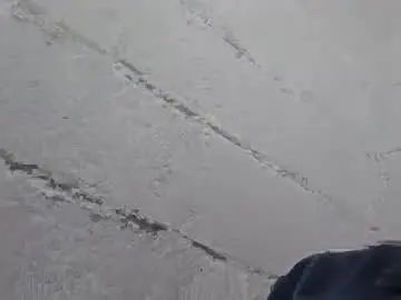 Enjoy watching full video named Gay sex chat with robbiebob6828
