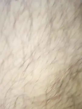 Play uncut clip called Gay sex chat with Lamealfombra