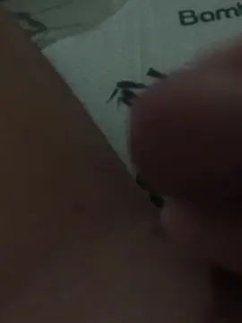 Stream the uncensored scene of Gay sex chat with sthott