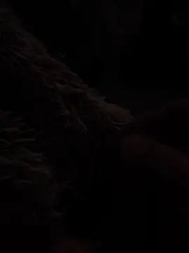 Watch the full clip called Gay sex chat with franji4