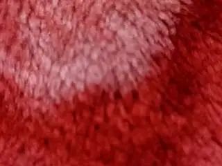 Stream this uncut video named Gay sex chat with piush007