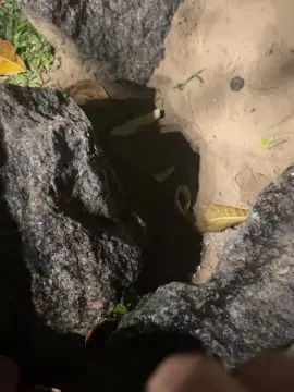 Enjoy watching this full video called  Nethinho0