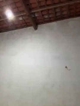 View the HD clip titled Gay sex chat with iguinhoplay