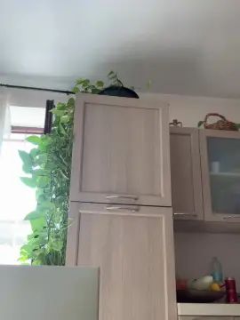Watch this hardcore clip titled Gay sex chat with Troiettaslave