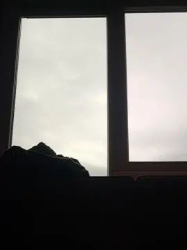 Watch full scene titled Gay sex chat with tim28nl