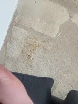 Play the uncut clip called Gay sex chat with Alphabig33