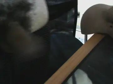 Play uncensored video of Gay sex chat with mlk_jj