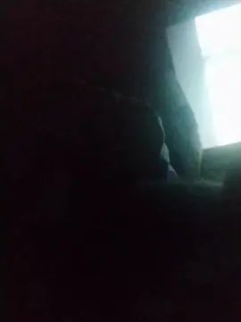 Enjoy watching uncut scene called Gay sex chat with Pajeritto8