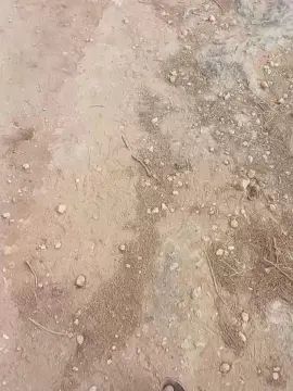 Enjoy watching this hardcore movie titled Gay sex chat with u450286691