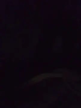 View this full clip of Gay sex chat with Israelgogoy999