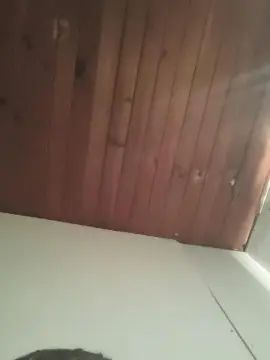 Play the uncensored scene called Gay sex chat with Fernsksso