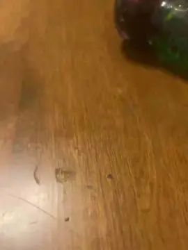 Stream this uncut video titled Gay sex chat with miguel2856