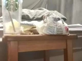 Stream this hardcore scene of Gay sex chat with stormthepuppyb4kinc