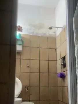 Enjoy watching uncut scene of Gay sex chat with recifenaputari4