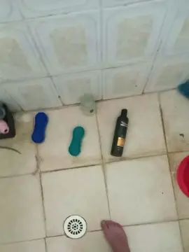 View HD clip titled Gay sex chat with Felipenee