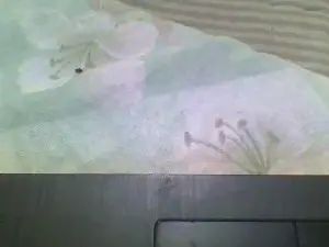Stream this hardcore clip of Gay sex chat with negro893