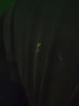 Play the complete video titled Gay sex chat with Diegomezone