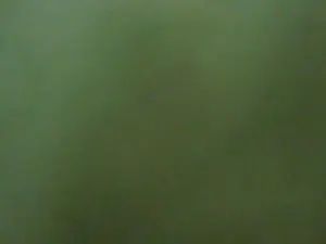 Enjoy watching complete scene named Gay sex chat with matty_0303