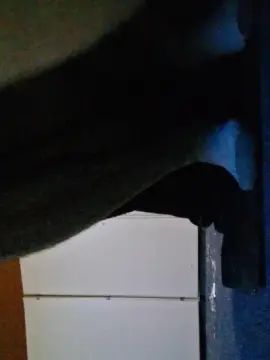 Play this hardcore scene called Gay sex chat with PoleHungLad