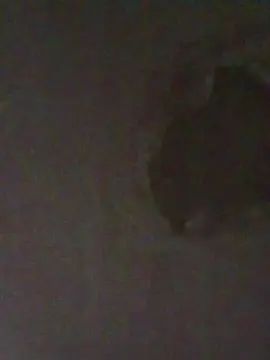 View the uncut scene of Gay sex chat with pretin45