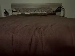 View the full clip named Gay sex chat with morbo_couplexxx