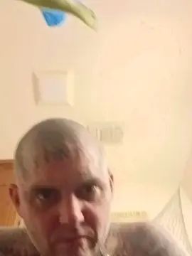 View the uncut movie titled Gay sex chat with SketchUINetVoid