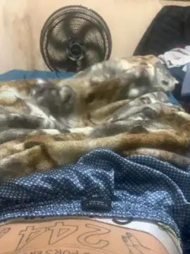 Enjoy watching hardcore clip called Gay sex chat with Caduzin244