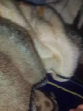 Watch this uncut video of Gay sex chat with Cachondo2027
