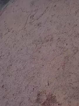 Play the HD video of Gay sex chat with NOVIMPIKUDOO