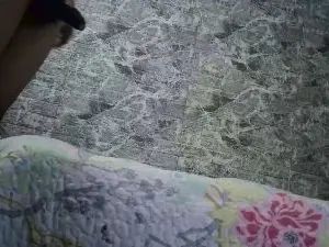 Stream this complete scene of Gay sex chat with ELBIGOTUDO