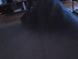 Enjoy watching uncensored video named Gay sex chat with dogslave66