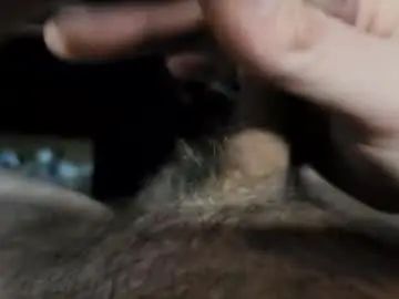 Stream uncensored movie called Gay sex chat with devilsinme6669