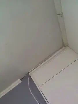 Watch this full clip titled Gay sex chat with michael23sexy