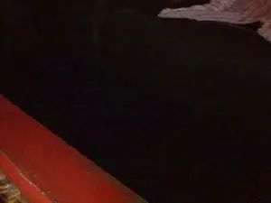 Stream this hardcore video of Gay sex chat with Marko94200