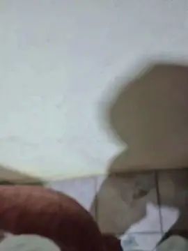 Enjoy watching HD video named Gay sex chat with NaturezaSexx