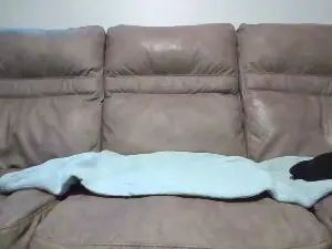 View HD scene called Gay sex chat with pking2