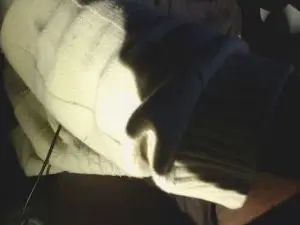Stream HD scene called Gay sex chat with BrunoWfz