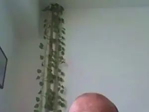 Watch the full movie called Gay sex chat with Joe7522