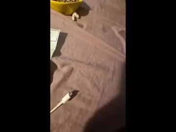 View this complete video called Gay sex chat with oldschoolsteveo