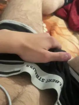 Watch HD clip called Gay sex chat with Hengst007