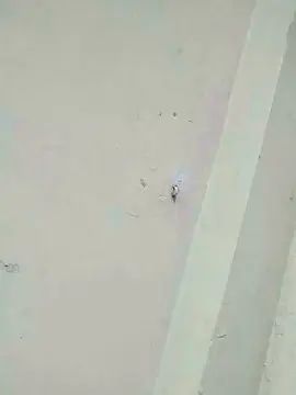 View this hardcore movie titled Gay sex chat with geko41