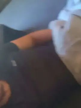 Watch the hardcore movie named Gay sex chat with Pollondomador