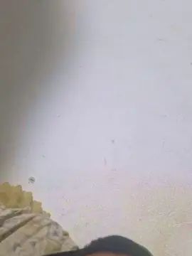 Watch this uncut video called Gay sex chat with Novinh1m