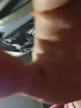 Enjoy watching full video titled Gay sex chat with Tulaarika